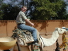 Camel Ride in Niger